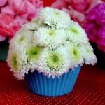 cupcakeflowers cupcakeflowers