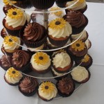 cupcakes10 cupcakes10