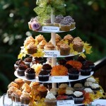 cupcakes9 cupcakes9
