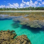 penininsula.marau
