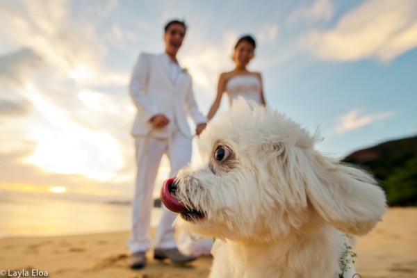 casamento na praia 